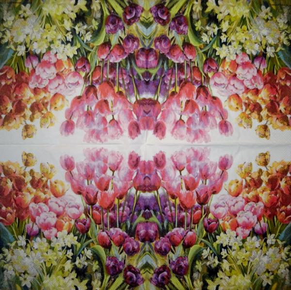 101 Tulpen - 3-lagig - Maki